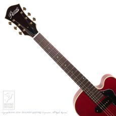 Rozeo Ladybug SM-C/CH_6