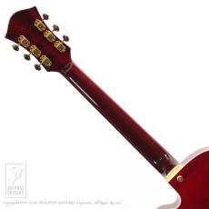 Rozeo Ladybug SM-C HB/CH_7