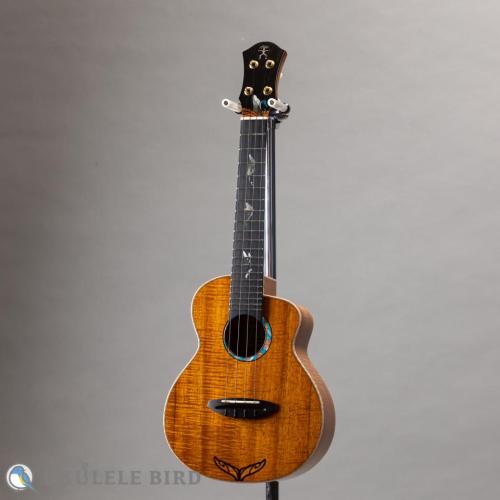 aNueNue aNN-Kyas Whale Ⅱ