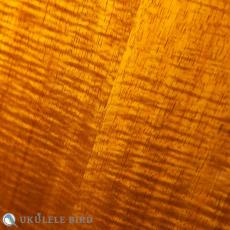 aNueNue aNN-Kyas Whale Ⅱ_10