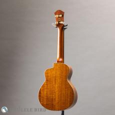 aNueNue aNN-Kyas Whale Ⅱ_12