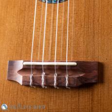 Koichitani Ukulele Tenor Hawaiian Mahogany_3