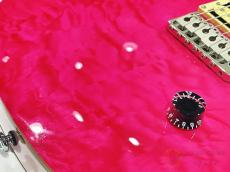 Paul Reed Smith [PRS] SE Custom 24 【返品OK】[MLH00]【難波店在庫】_9