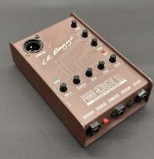 L.R.Baggs Para Acoustic D.I.