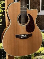 Takamine(タカミネ)、5万円～10万円未満の検索結果1～22件【楽器検索