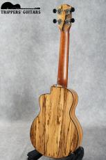 TODA Guitars VC-CW Custom (2007)_3