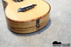 TODA Guitars VC-CW Custom (2007)_13