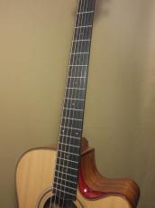 AYERS SJ04-CX 2.0 ESN JP Custom_8
