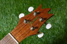 Famous FS-2PG Soprano Pineapple_5