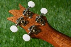 Famous FS-2PG Soprano Pineapple_6