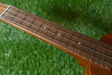 Famous FS-2PG Soprano Pineapple_7