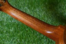 Famous FS-2PG Soprano Pineapple_8