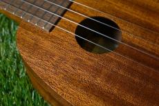 Famous FS-2PG Soprano Pineapple_9