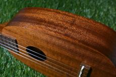 Famous FS-2PG Soprano Pineapple_14