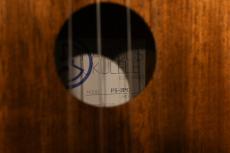 Famous FS-2PG Soprano Pineapple_15