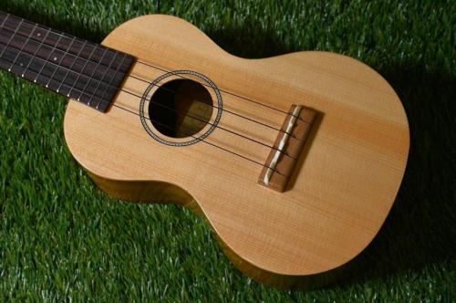 Famous FS-220 Soprano