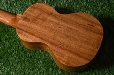 Famous FS-220 Soprano_3