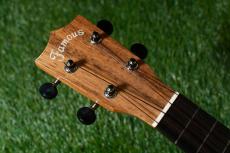 Famous FS-220 Soprano_5