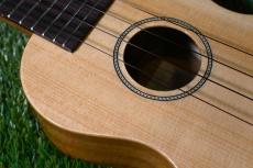 Famous FS-220 Soprano_9