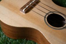 Famous FS-220 Soprano_10