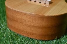 Famous FS-220 Soprano_12