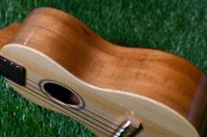 Famous FS-220 Soprano_14