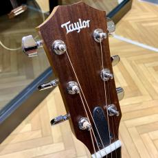 Taylor Academy 10e 【入門の方におすすめ】【エレアコ】_4