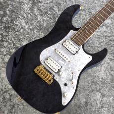 FUJIGEN(フジゲン)、ストラトキャスター・タイプの検索結果1～50件