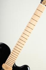 RITTER Princess Isabella "George Benson Tribute" PIANO High Gloss_5