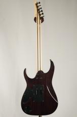 Ibanez 【日本製】【Ibanezの最高峰モデル j.custom】RG8570 -Black Rutile-《即納可》_8