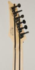 Ibanez 【日本製】【Ibanezの最高峰モデル j.custom】RG8570 -Black Rutile-《即納可》_9