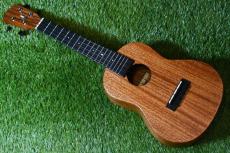 Millar CPA-E Concert【S/N 092】_3