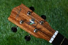 Millar CPA-E Concert【S/N 092】