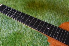 Millar CPA-E Concert【S/N 092】_7