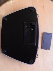 Carl Martin DC DRIVE/旧_3