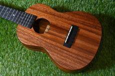 Millar CPA-E Concert【S/N 093】_2