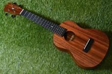 Millar CPA-E Concert【S/N 093】_3