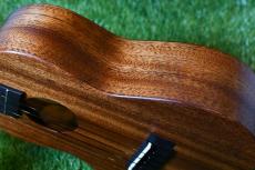 Millar CPA-E Concert【S/N 093】_13