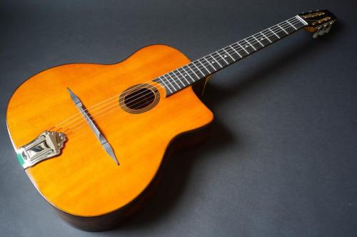 Stringphonic Advanced FV Limited