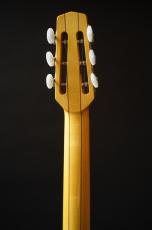 Stringphonic Advanced FV Limited_6