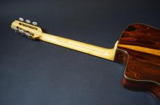 Stringphonic Advanced FV Limited_7