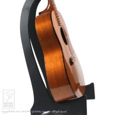 Epiphone FT-30 Caballero_3