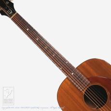 Epiphone FT-30 Caballero_6