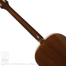 Epiphone FT-30 Caballero_7