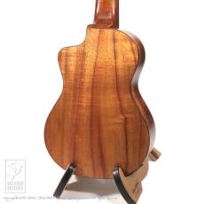 Chihale Works 10CC-Koa_4