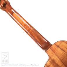 Chihale Works 10CC-Koa_6