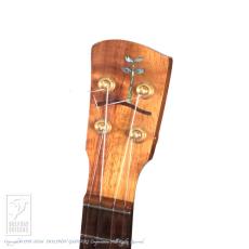 Chihale Works 10CC-Koa_7