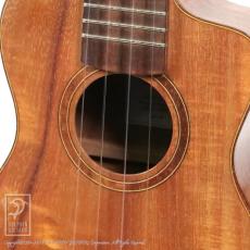 Chihale Works 10CC-Koa_11