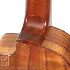 Chihale Works 10CC-Koa_12