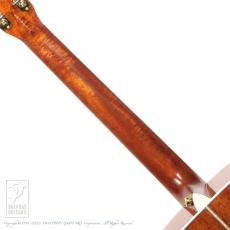 Fonzo Guitar V31S OM_10